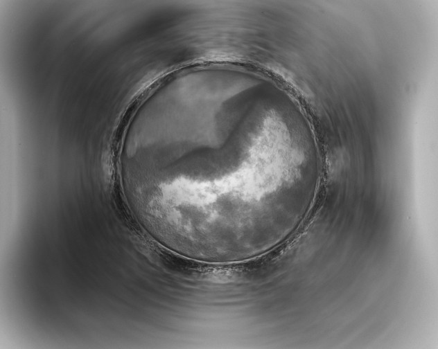 X0000094351266200711021426