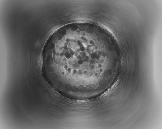 X0000094351267200711021426