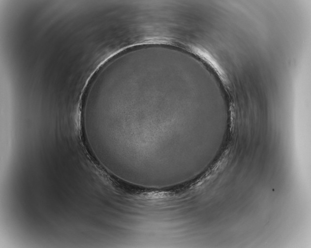 X0000094351268200711021426