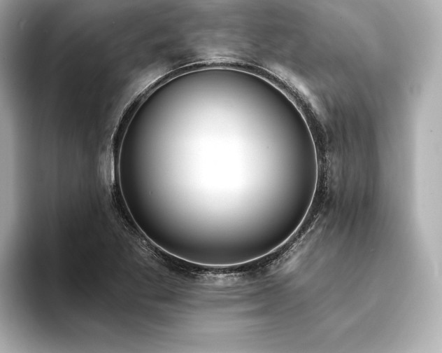 X0000094351269200711021426