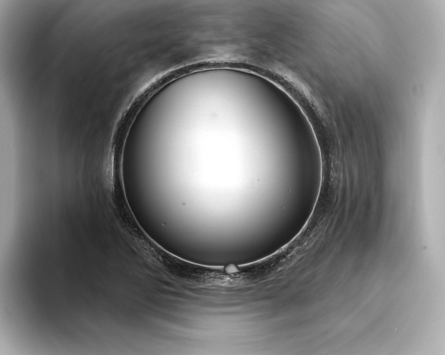 X0000094351270200711021426