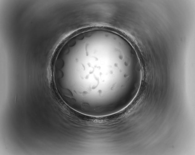 X0000094351271200711021426