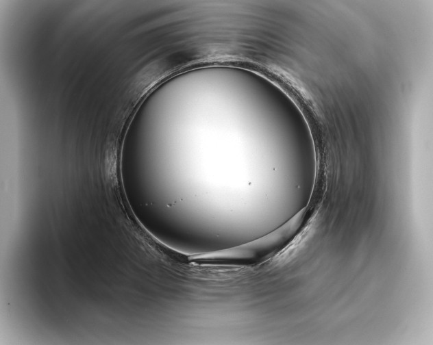 X0000094351273200711021426