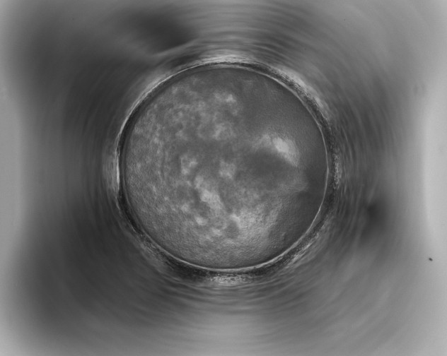 X0000094351274200711021426