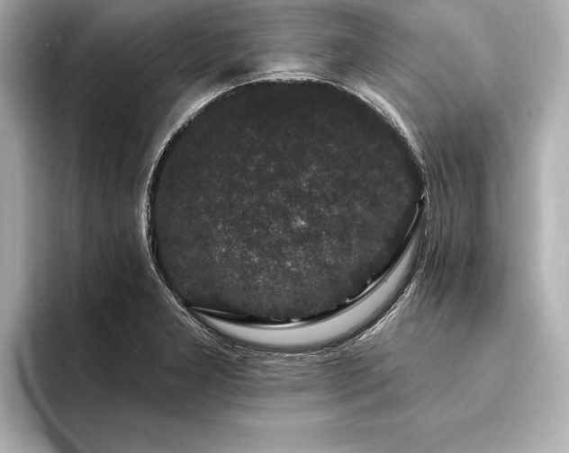 X0000094351277200711021426