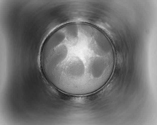 X0000094351278200711021426