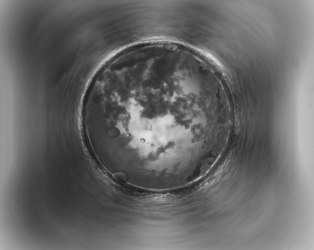 X0000094351279200711021426