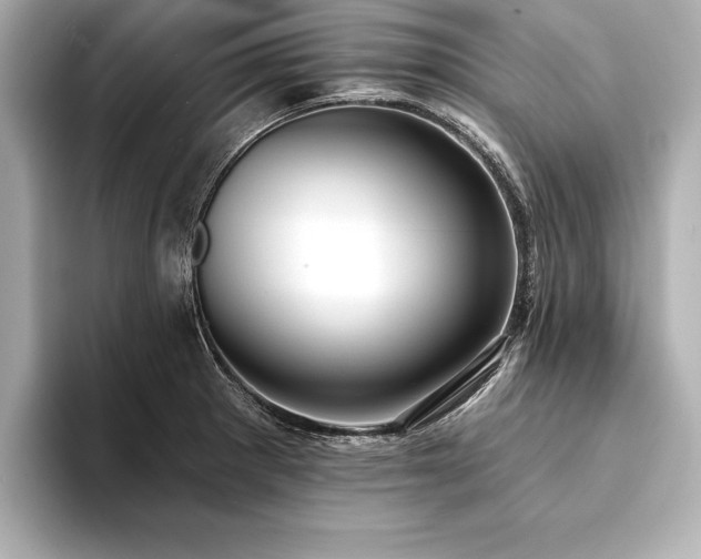 X0000094351281200711021426