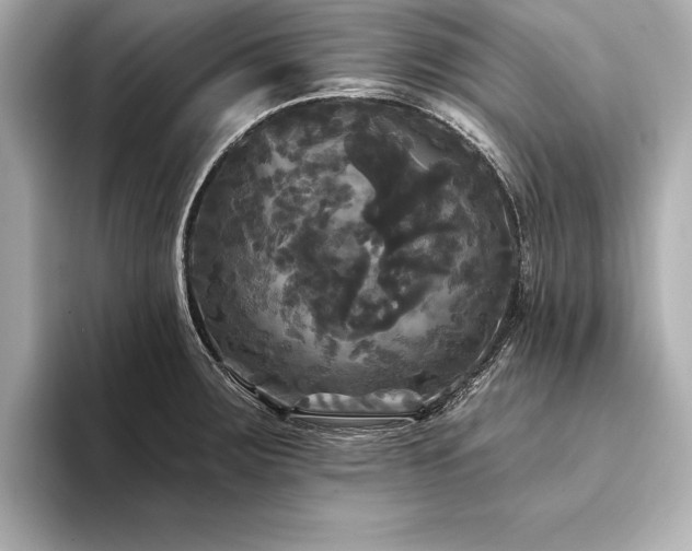X0000094351283200711021426