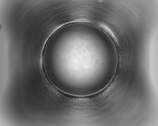 X0000094351284200711021426