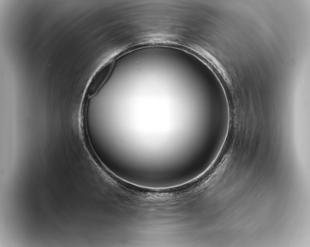 X0000094351285200711021426