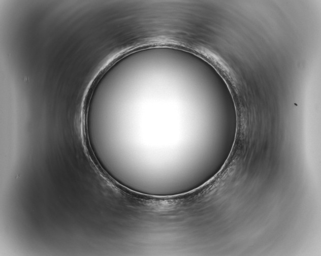 X0000094351286200711021426