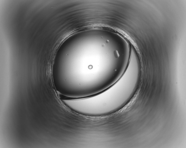 X0000094351289200711021426