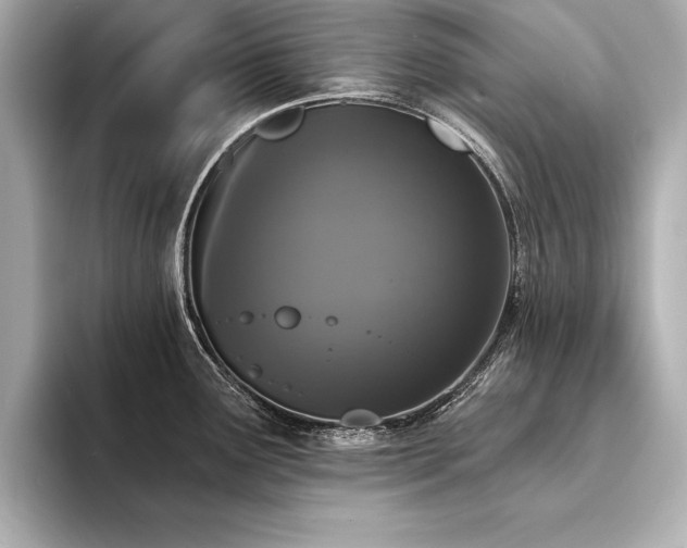 X0000094351291200711021426