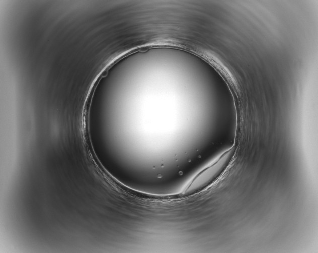 X0000094351292200711021426