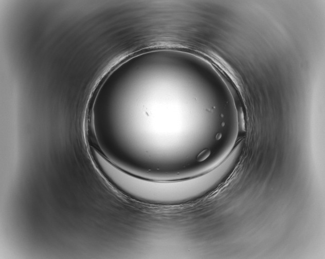 X0000094351293200711021426