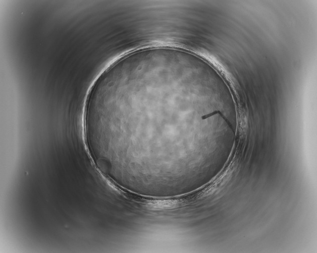 X0000094351294200711021426
