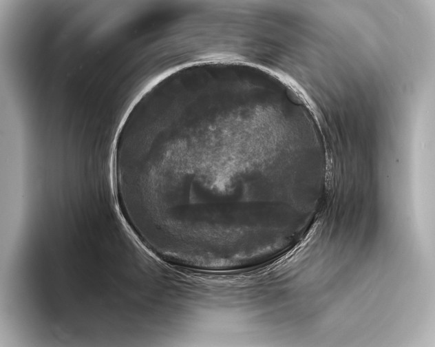 X0000094351295200711021426