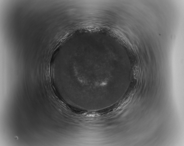 X0000094351298200711021425