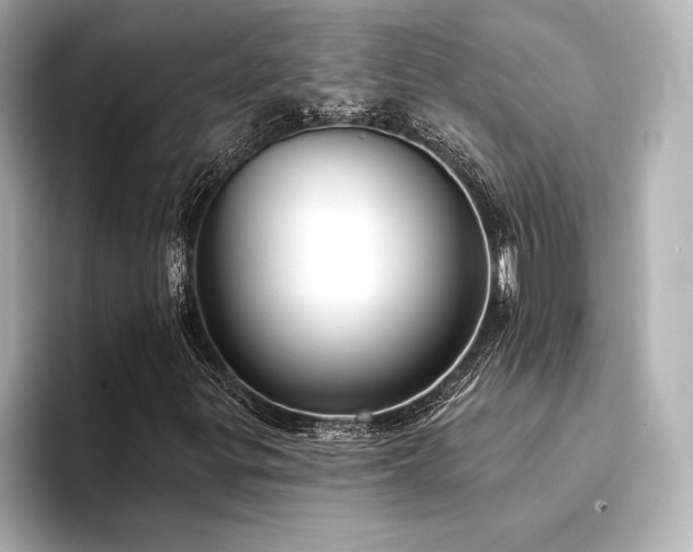 X0000094351299200711021425