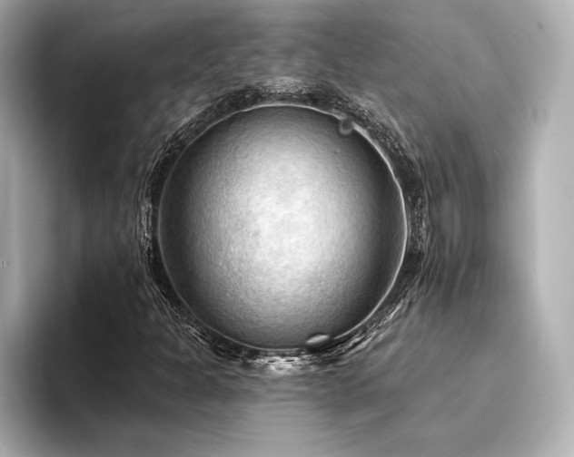X0000094351301200711021425