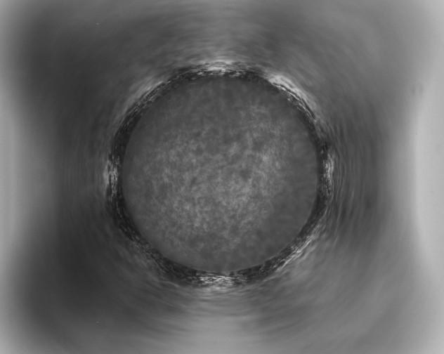 X0000094351302200711021425