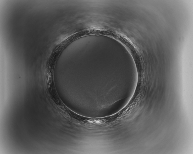 X0000094351303200711021425