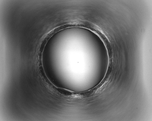 X0000094351304200711021425