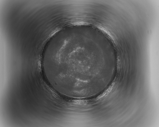 X0000094351305200711021425