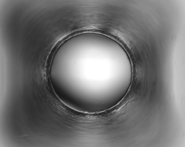 X0000094351308200711021425