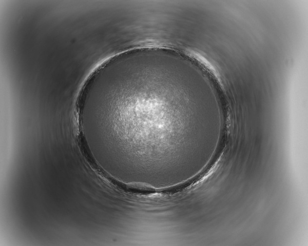 X0000094351310200711021425