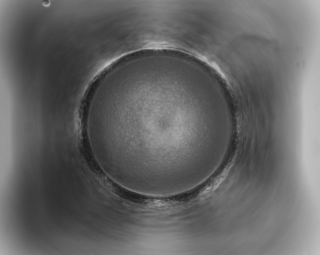 X0000094351311200711021425