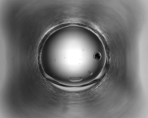 X0000094351312200711021425