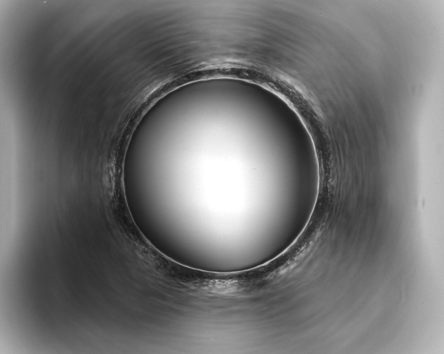 X0000094351313200711021425