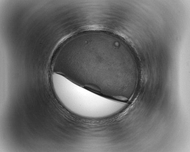 X0000094351314200711021425
