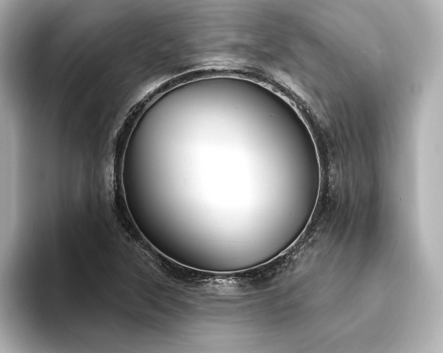 X0000094351315200711021425