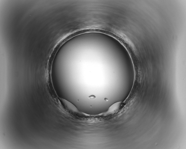X0000094351316200711021425