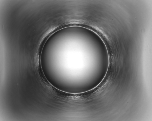 X0000094351317200711021425