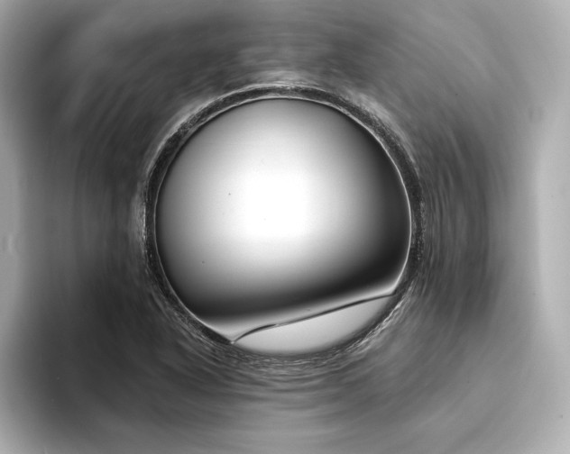 X0000094351318200711021425