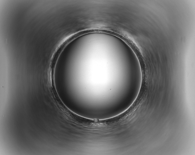 X0000094351320200711021426