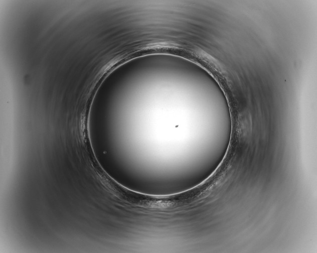 X0000094351321200711021426