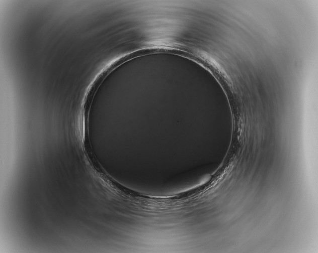 X0000094351323200711021426