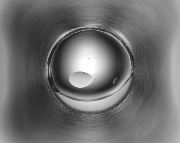 X0000094351324200711021426