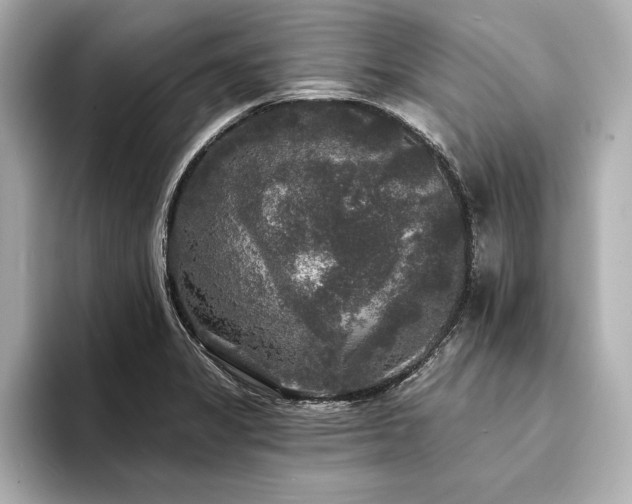 X0000094351325200711021426