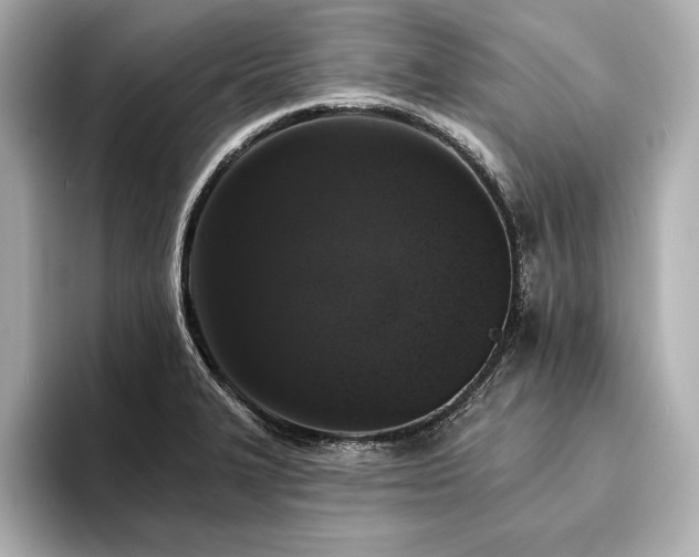 X0000094351327200711021426