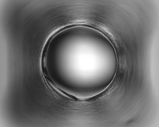 X0000094351328200711021426