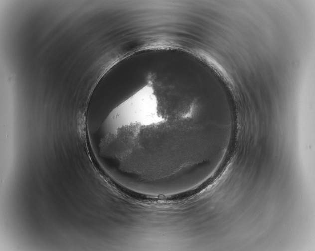 X0000094351329200711021426