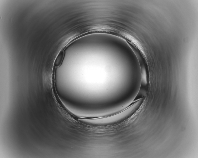 X0000094351330200711021426