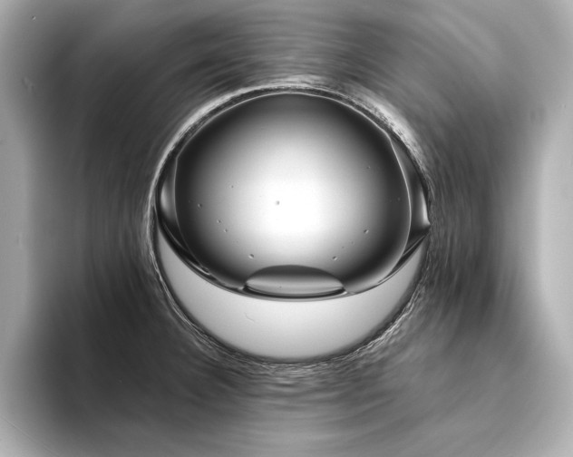 X0000094351332200711021426