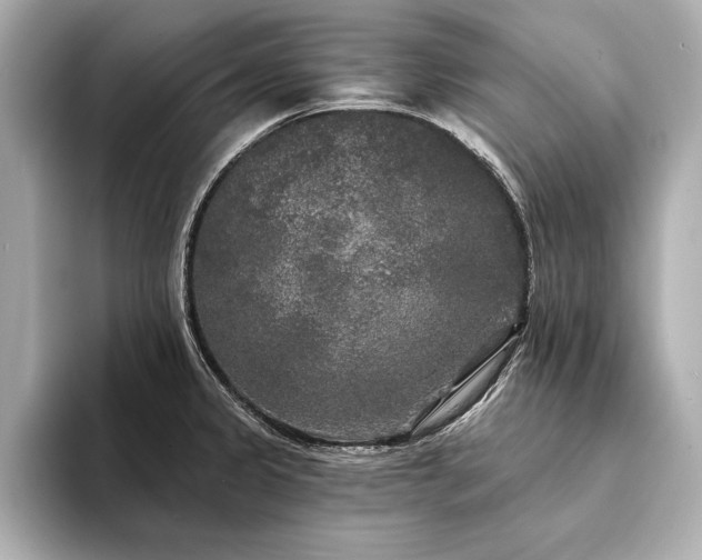 X0000094351333200711021426